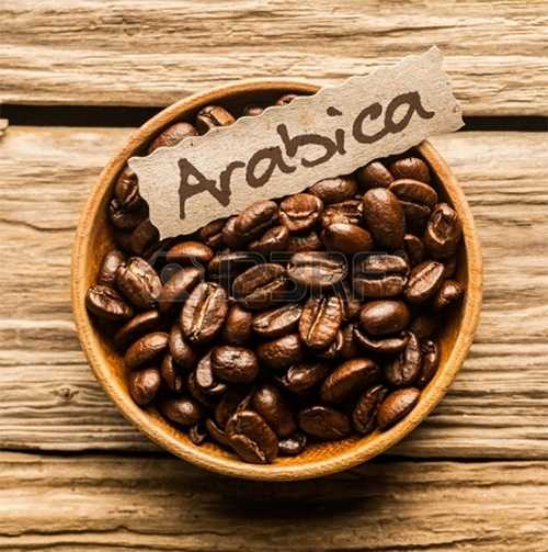 arbica