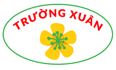 CÔNG TY TNHH TRƯỜNG XUÂN