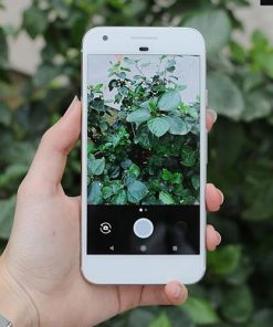Google Pixel (Nobox - Likenew 99%)