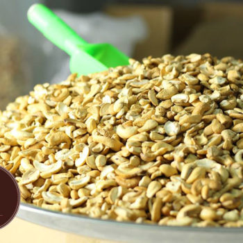 19114647_1502522153147798_1210613536_n-350x350